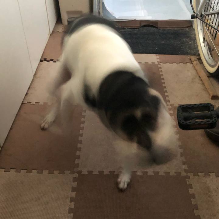 Fd678195 eb2d 4c7d 82eb 38f5ad6f2efa 1526007802356