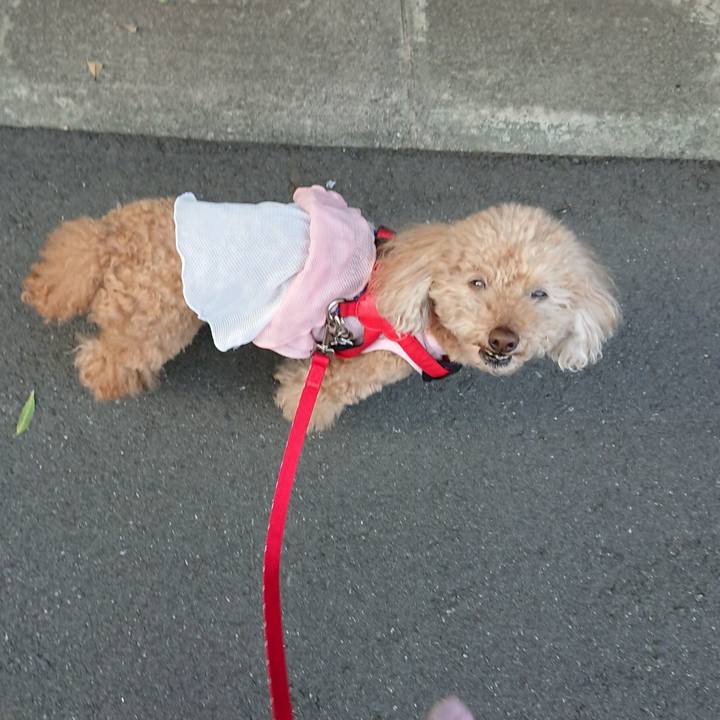 Fd67bd74 5dd9 4c1f 8896 c33f12e62d5e 1588412018629