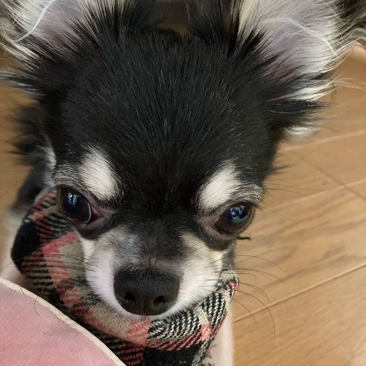 Fd67c0af b6d1 4a22 8cad afacb310ca85 1603493771392