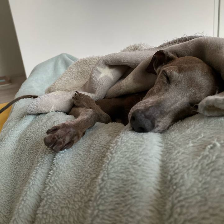 Fd67c721 42a0 44e0 9c83 c510bb9c5bd8 1765607466519