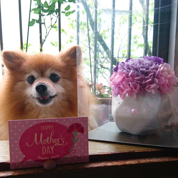 Fd67c8db 63d6 4692 9811 4e0f49ba0eae 1526163815426