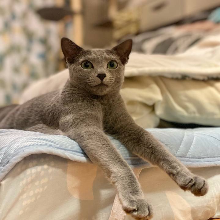 Fd67f6c6 a921 4cc7 80a5 afdac6c00856 1626264600711