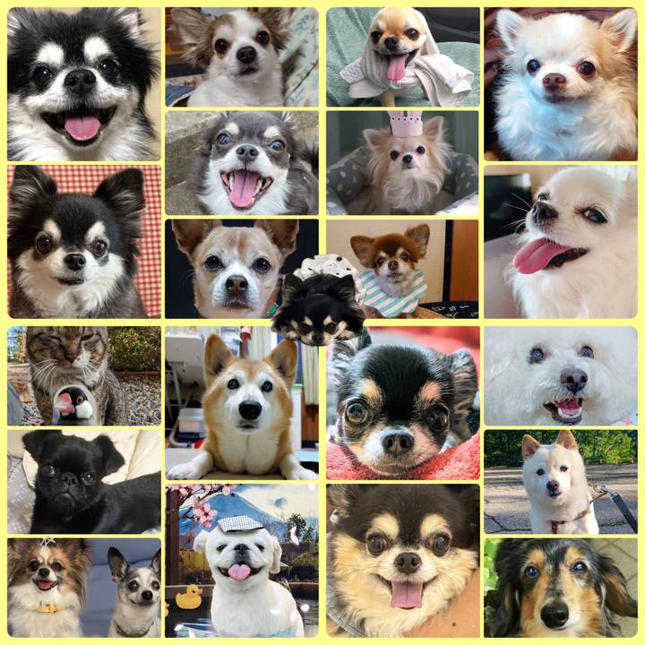 Fd67faf4 c9f5 4daa 8624 026db0ac6e44 1688703672197