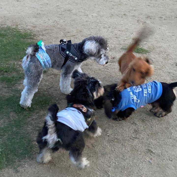 Fd68014e 2410 4fda 8dd4 94bbba34ef05 1592237687016