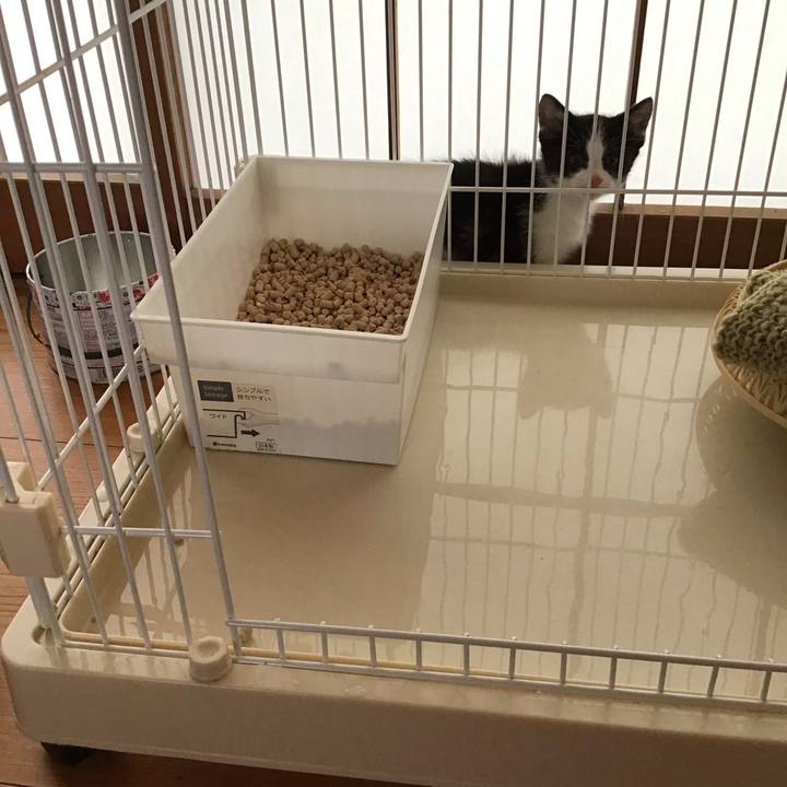 Fd6897fc bcae 4d19 9dff de2ba16bf447 1623636551596