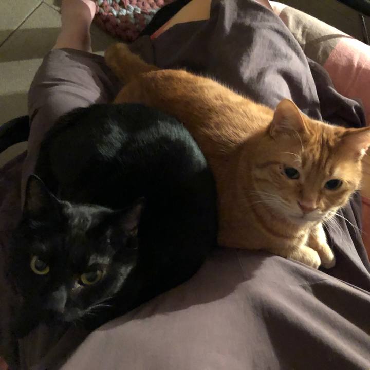 Fd68c75f a370 424a bc78 572ad72b863e 1679575931884