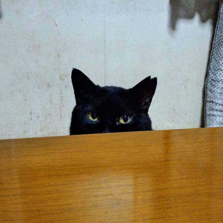 Fd68d665 eaae 406c b16f 59709b028f5c 1608429454390