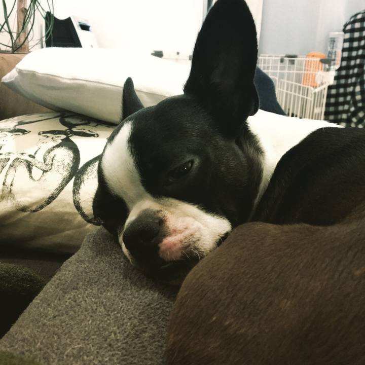 Fd68e903 3c98 4298 8764 ddfa31e0730d 1517462732474