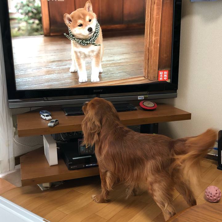 Fd68fd0a ce66 48ba a4dd 83befebb37c2 1559452728928