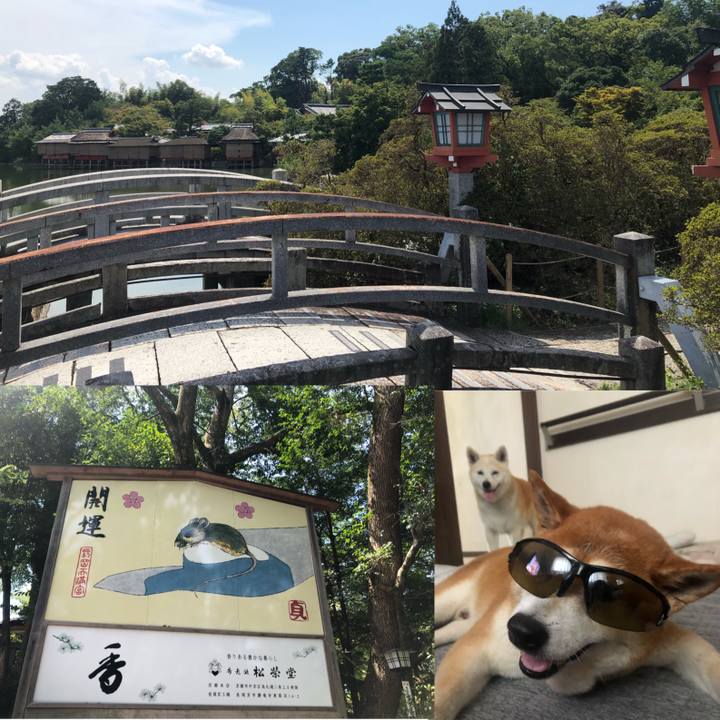 Fd692ff1 f87a 4dd6 a41b 2363f46f68c8 1598943674211