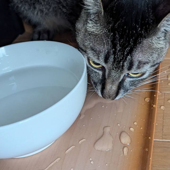 Fd6936e5 cff9 416b 8d11 e89866c89099 1728805281375