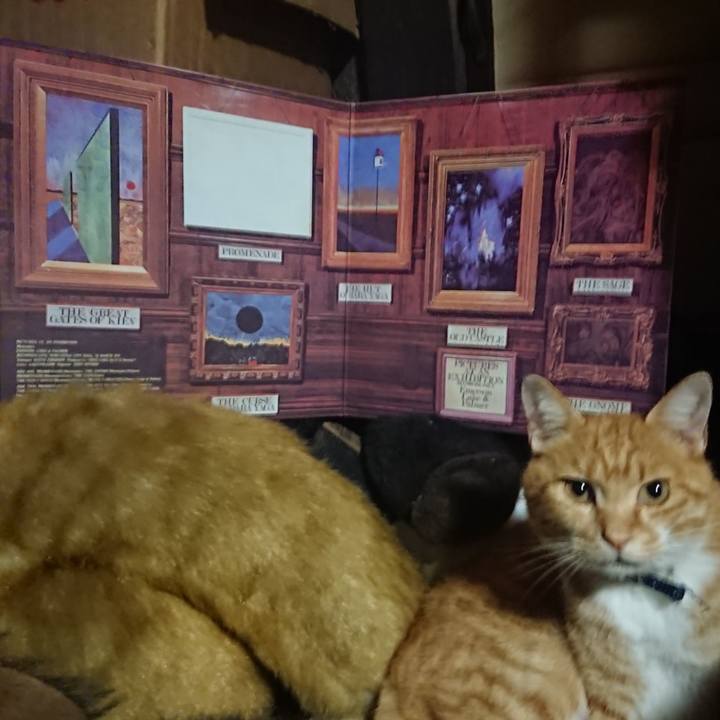 Fd69aa6c daf5 4ee0 a300 8b5c63d7f5e2 1603795180674