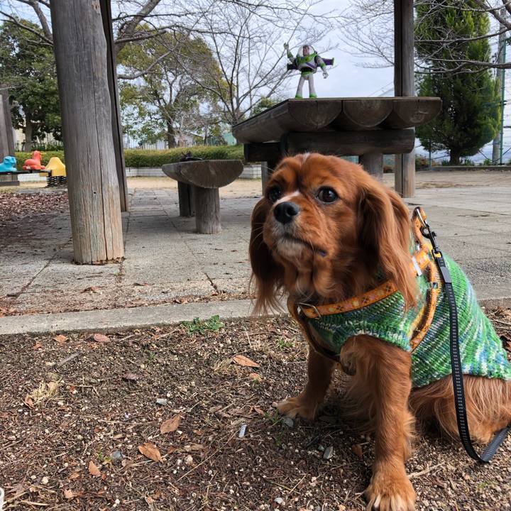 Fd69bef1 7d84 4a81 93dc d695a708c02e 1580028384885