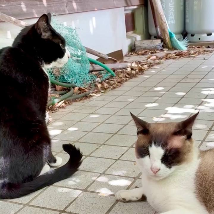 Fd69d8b0 de75 44d9 964f e2578ce4443c 1746585017181