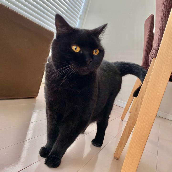 Fd6a28a1 3658 44b4 9175 887ded6ac18a 1692397383239