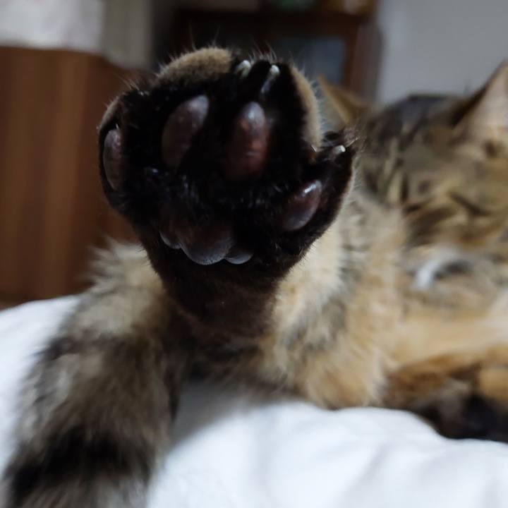 Fd6a5ca6 6cd5 491e b785 01b4a0b7178b 1709120596369