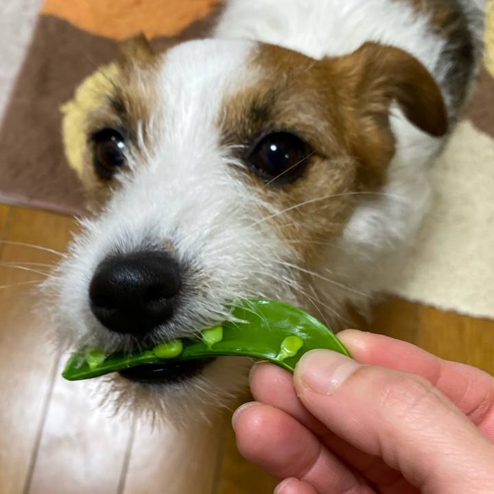 Fd6a6d3a 85ea 48fe 9f90 92d7f734ffdb 1739101696933