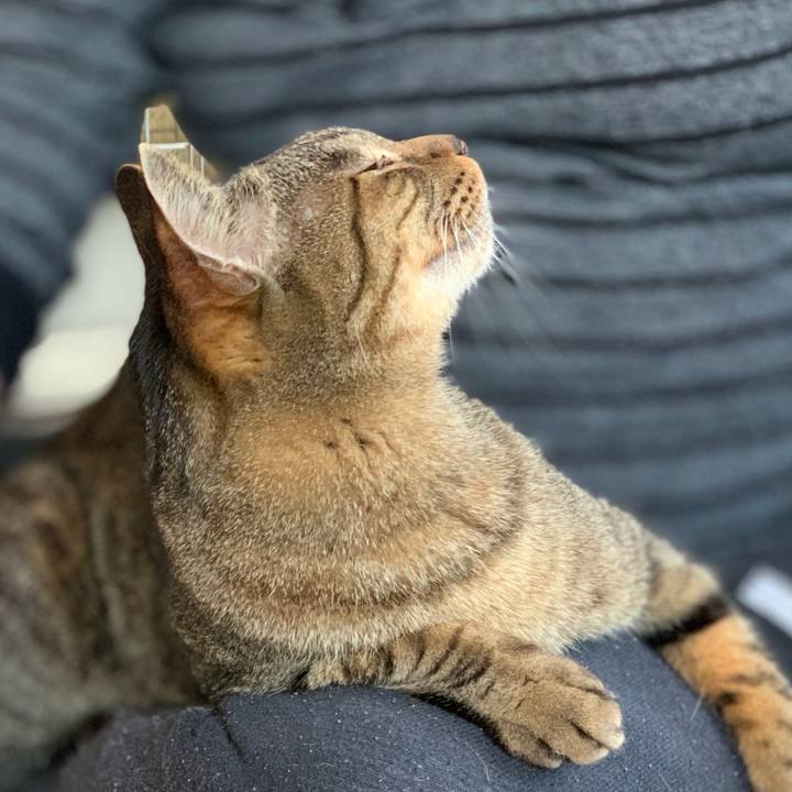 Fd6a8c0f 10a7 4b1c 8959 6ac9b45fec11 1556067299918