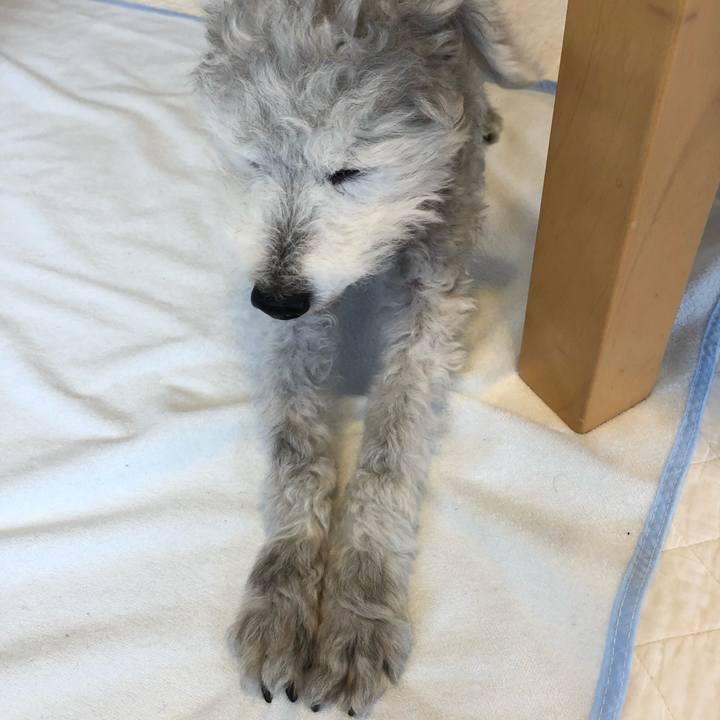 Fd6a9937 a3a3 4e45 9bfc f2eb401970e8 1591575029714