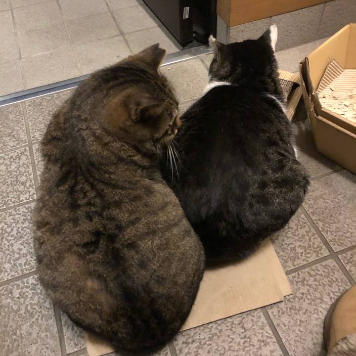 Fd6ab0cd d2c5 4b65 8df9 7ea4a5afd19b 1581242356352