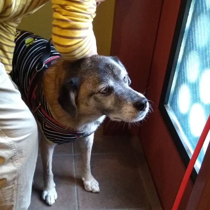 Fd6aba77 fce9 48d8 bdfa 43eff2233a58 1571526346264