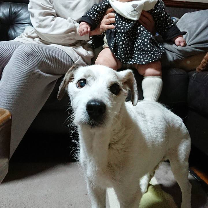 Fd6abd85 f9f2 4dc5 9c08 22ead18d127b 1603064511816