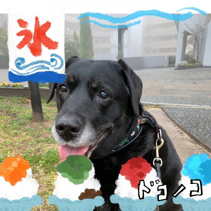 Fd6acedc 9101 4537 9230 4d31b9ed59ee 1723410187242