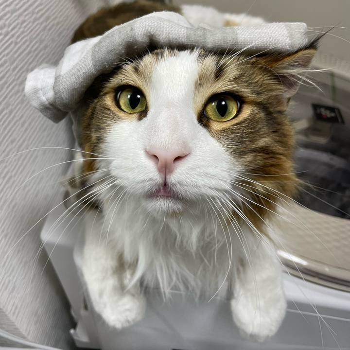 Fd6ad01c d578 450d 8c8a 8bda12b85a54 1660854904031