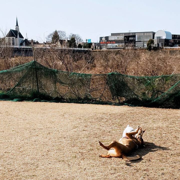 Fd6b0e63 6a2a 4b4f b4f7 dab19434b14c 1772328058249