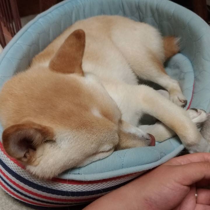 Fd6b1537 3e35 426b bc38 e1c6eaaa7de8 1535783588284