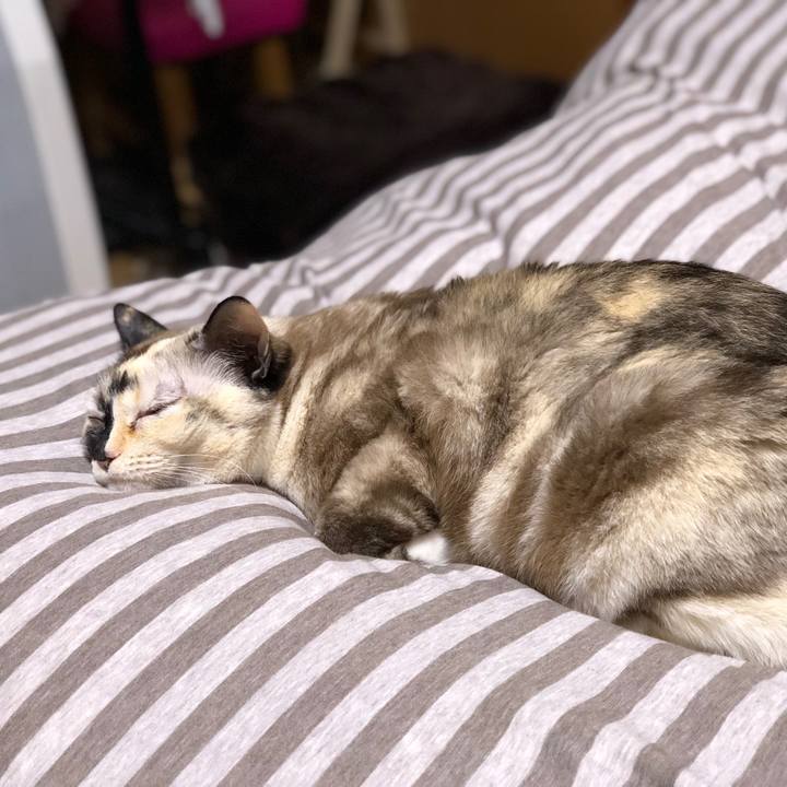 Fd6b2be7 b787 4d1e b469 ad28a8dc8e1e 1775240906474