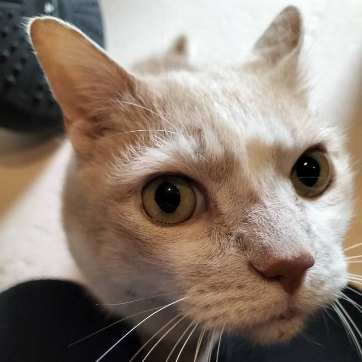 Fd6b4760 428a 49a7 927e d09b87f6ab11 1634597490406