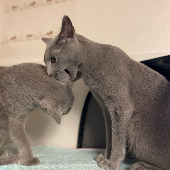 Fd6b860c 80e5 4dbe 9839 b9c99d53c07a 1622631762608