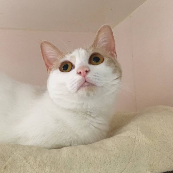 Fd6bb6a0 d361 46f5 a229 cdd9d67e6946 1527064855456