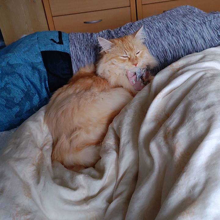 Fd6bbcd9 9d82 4701 9d1e 2291bf8e0cd0 1719488663555