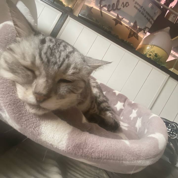 Fd6bc30f eaf6 4dc9 94a2 36c433921524 1749957020465