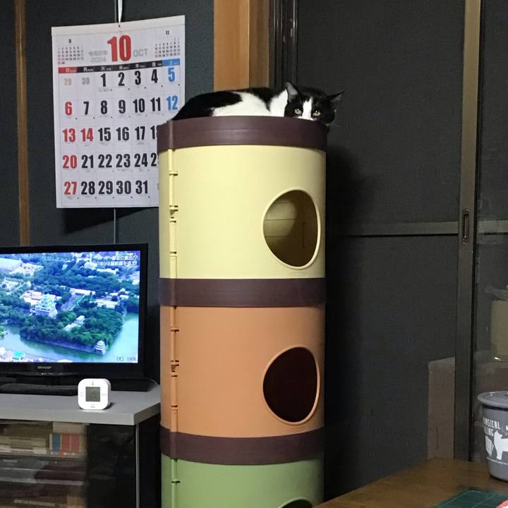 Fd6bc6a7 d5c1 454d 8e51 d245527c855c 1728210964057