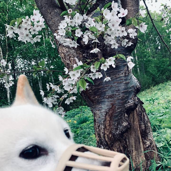 Fd6bc969 d076 43ad 9822 9fb197b2c777 1621284227207