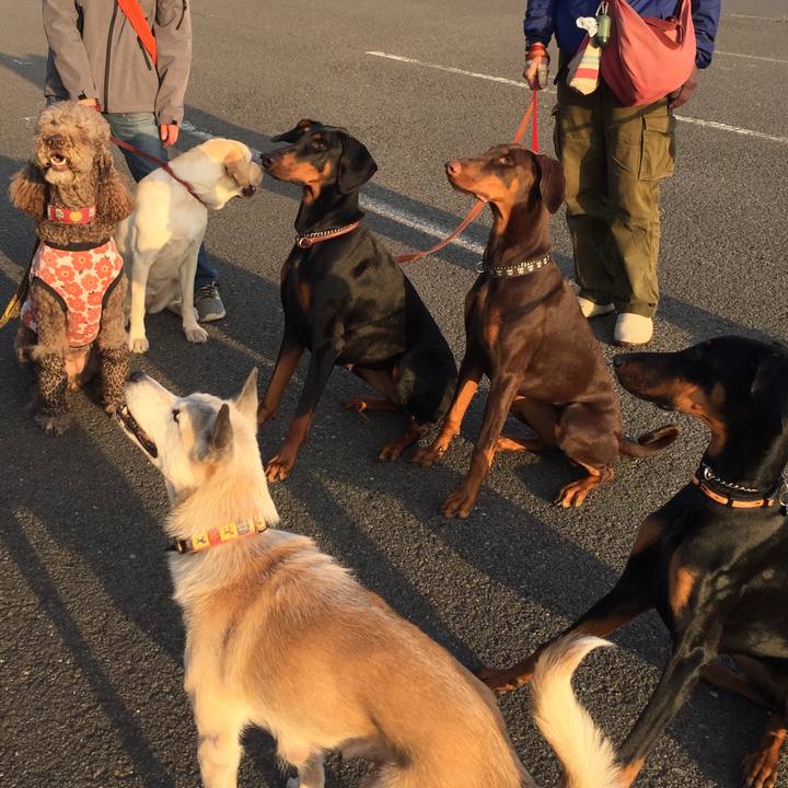 Fd6bd482 42d6 4b12 a3e2 a3f19166ff1d 1556030284530