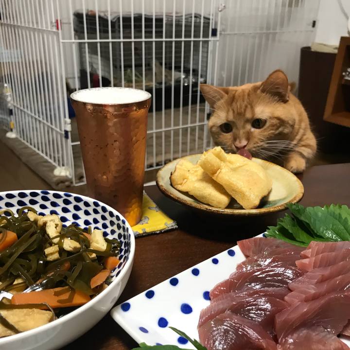 Fd6c4ea4 50cf 4d3f 9575 eafbb306bae2 1539947237678