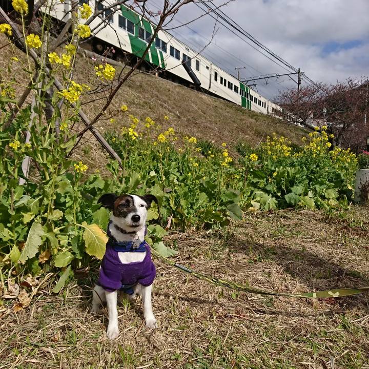 Fd6c5ff8 a3b1 4098 b772 2e2feef2036d 1518918436038