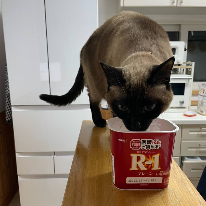 Fd6c8840 bc52 459d 95e6 9b675ad6b412 1765660668978