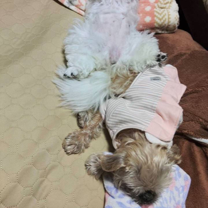 Fd6c96fd a48e 44a9 a7a1 d728b79bbc75 1747366408622