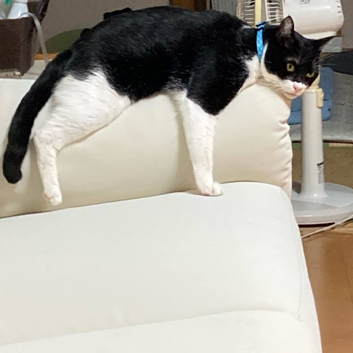 Fd6c9b33 ccf5 467a bf1c 1336d2a8227c 1727863200548