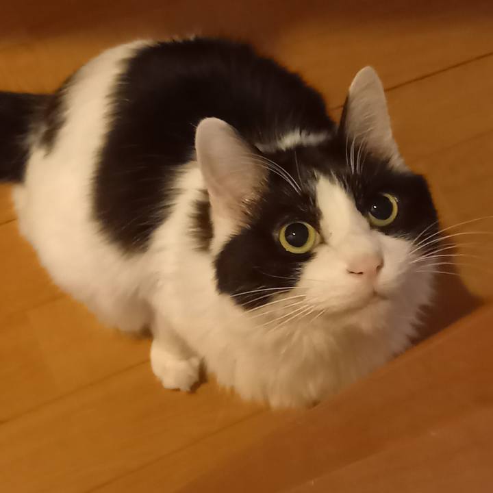 Fd6c9df5 b2e5 4cb8 80a3 d11312177eaa 1676583147324