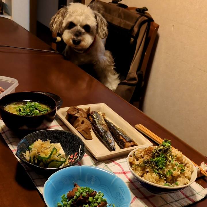 Fd6cdaf2 834f 4a4e b8af 011dfb1deba8 1757015908276