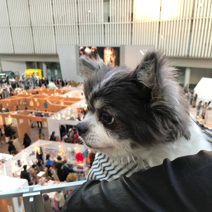 Fd6cf68c c803 4fc9 a5d4 5611596cc22b 1510910867248