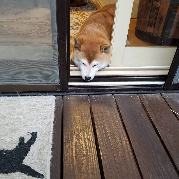 Fd6d5dfe 23fd 4f33 904c d22fb166a608 1571467788948