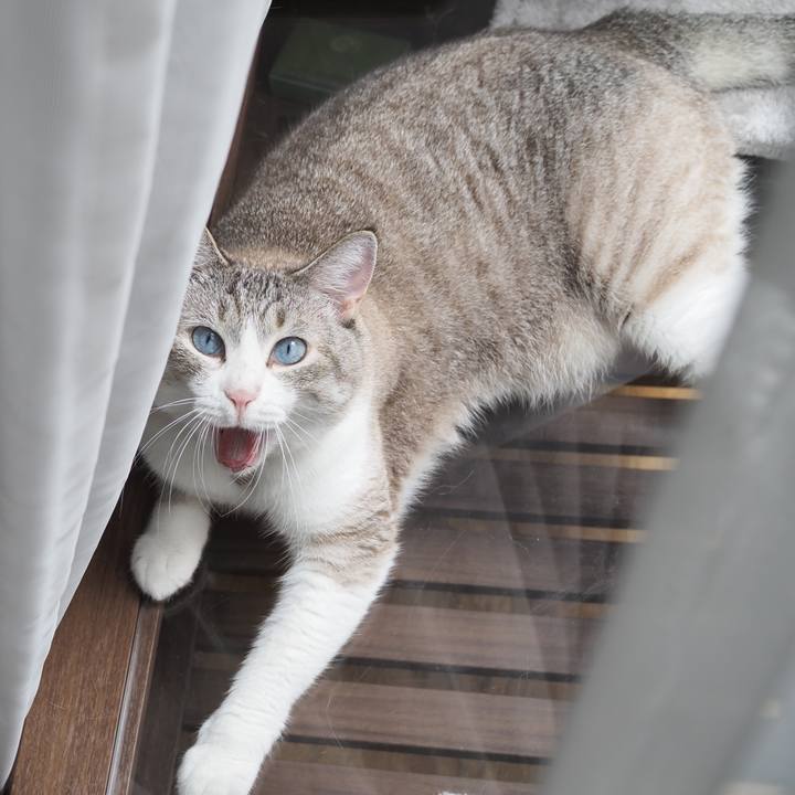 Fd6d75ce 572c 414e 9b2a 912e7f62809f 1598077263233