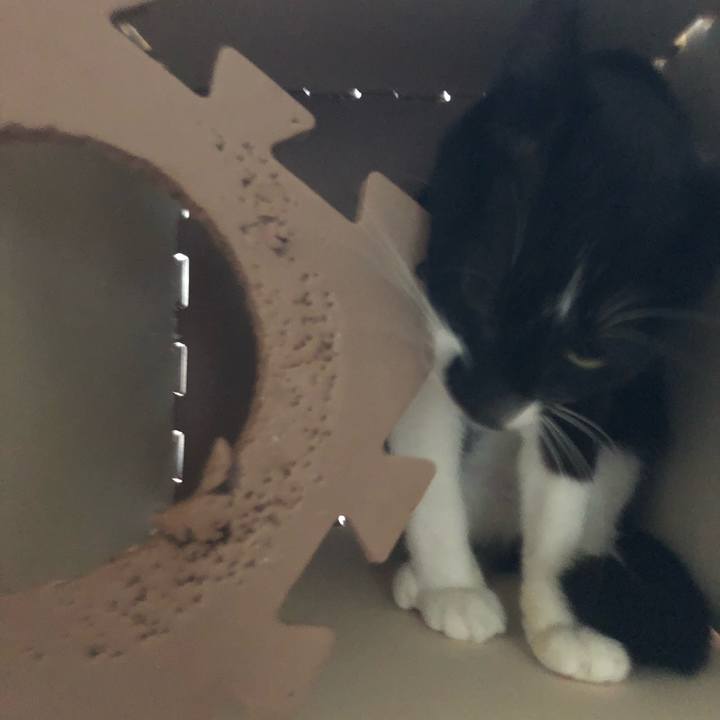 Fd6d8d32 b1a0 4ce1 95b4 da580fdc5727 1531483449856